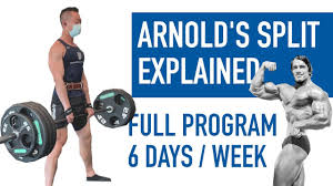 arnold split full program explained