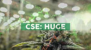 Company facts, information and stock details by marketwatch. Fsd Pharma Inc Announces Us 10 Million Registered Direct Offering Weedstreet420