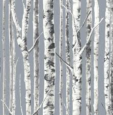 Gray Birch Tree Removable Wallpaper