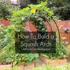 How To Build A Squash Arch Self