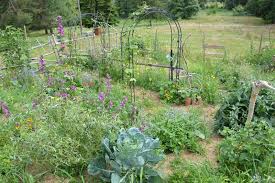 Durch eine bewusste auswahl an kooperierenden pflanzen kannst du mit einem waldgarten langfristig deine. Gartenplan Einteilung Der Beete Und Bereiche Permakultur Biogarten