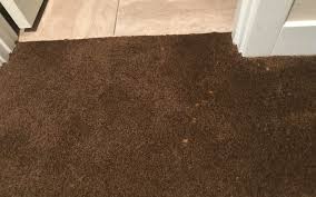 scottsdale carpet bleach repair