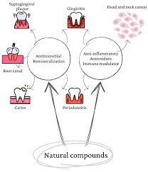 the role of natural compounds in