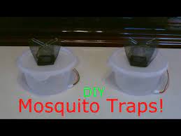 homemade mosquito trap the diy