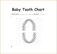 Baby Tooth Chart Kozen Jasonkellyphoto Co