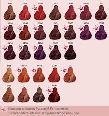 38 Best Hair Color Images Hair Color Hair Hair Color