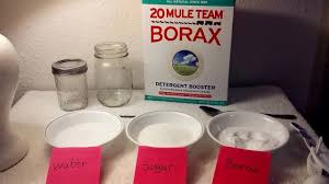 borax and diy ant trap with
