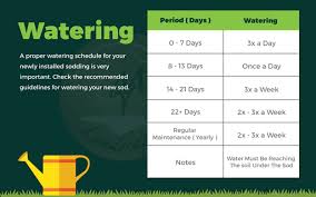Reduction of water after root development. Cheatsheet Taking Care Of Your New Sod Grass From Day 1 To Yearly Maintenance My Landscapers