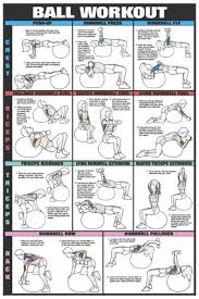 Exercise Charts For Stability Ball Balance Ball Swiss Ball