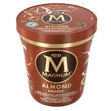 magnum ice cream pint almond