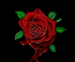 Rosa vermelha p/ Annd - Desenho de rai_munizz - Gartic