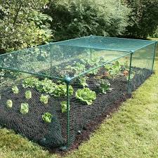 Vegetable Cage With Anti Bird Netting