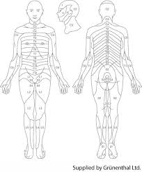 Pin On Body Systems
