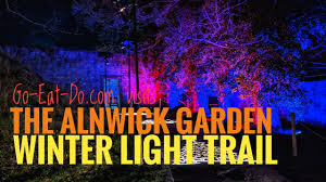 alnwick garden winter light trail you