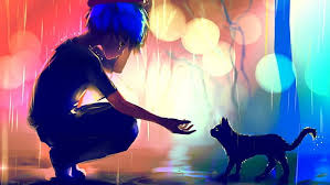 hd wallpaper anime boy cat raining