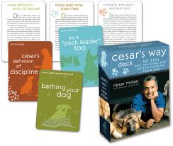 A resource and record book for dog owners. Cesar S Way Deck By Cesar Millan 9780307396327 Penguinrandomhouse Com Books