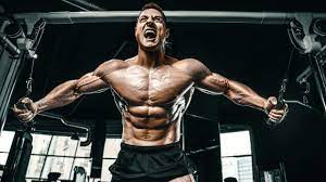 chest training 101 the muscle phd