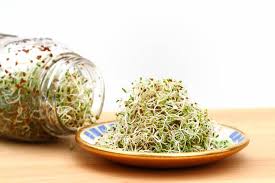 alfalfa sprouts aren t for everyone