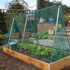 Fruit Or Vegetable Tunnel With Netting