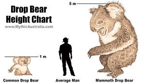 Drop Bear Size Chart Mythic Australia