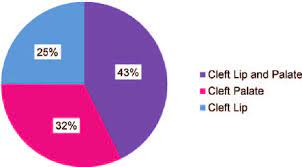 the overall percenes of cleft types