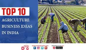 Top 10 Agriculture Business Ideas 2022