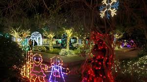 see christmas lights in ta bay