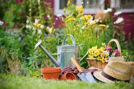 8 Spring Gardening Tips To Help Your