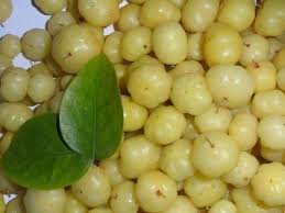 Image result for pictures of korola, cucumber, carrot, amla together