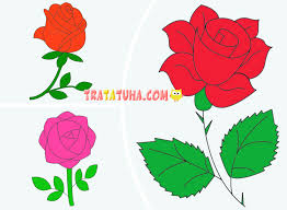 how to draw a rose easy step by step