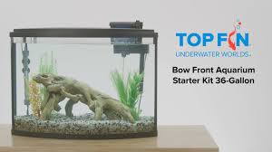 top fin bow front aquarium starter kit