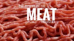 meat industry scott zies