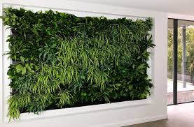 Living Walls Living Wall Specialists