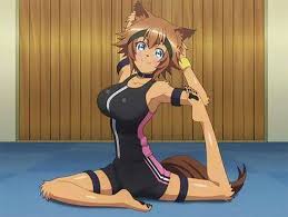 Well, an anime pet, of course. 20 Best Anime Wolf Dog Girl Characters Fandomspot