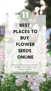 Buy Flower Seeds