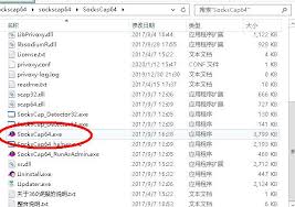 shadowsocks ss 梭影windows客户端