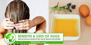 benefits of egg yolk for hair growth