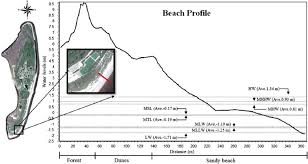Beach Profile For The Southeast Portion Of Jekyll Island
