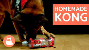 diy dog toys kong toy for dogs you