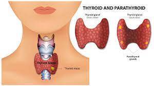 thyroid disease diagnosis and