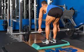 Leg Workouts 100 Free Leg Workout Routines Muscle Strength