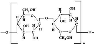 chemical structure of a cellulose fiber