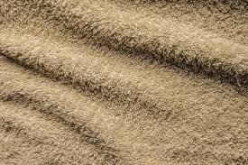 professional carpet dyeing pure clean