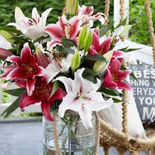 Many varieties are suitable for use in bouquets or arrangements to bring festivity to a special occasion. Annuals The Home Depot