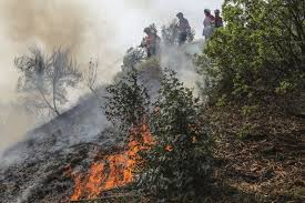 Ana catarina mendes começa o. Incendios Fortes Reativacoes Em Todo O Perimetro Do Fogo Em Monchique Atualidade Sapo 24