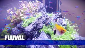 We did not find results for: Fluval Roma 125 Aquarium Set And Cabinet Oak Swell Uk