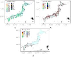 Explain that these are called deciduous trees. Remote Sensing Free Full Text Estimation Of Co2 Sequestration By The Forests In Japan By Discriminating Precise Tree Age Category Using Remote Sensing Techniques Html