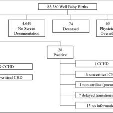 Well Baby Nursery Cchd Screening Outcomes Download