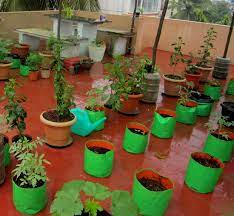 How To Construct Organic Terrace Garden