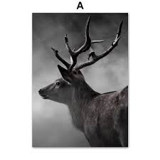black white elk deer forest